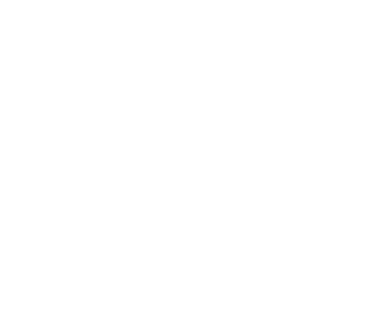 mid-court-colors