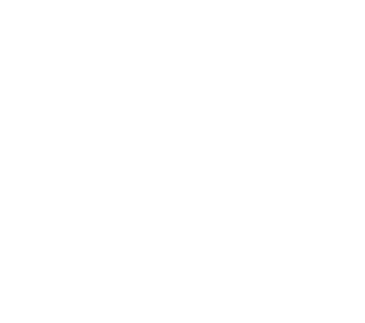 mid-court-colors